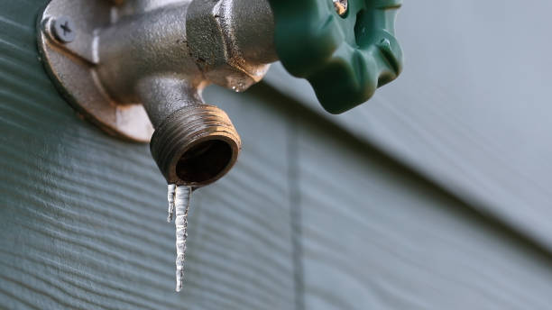 Best Local Plumber Services  in Muncy, PA